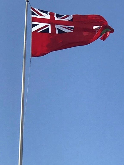 Flag on flagpole