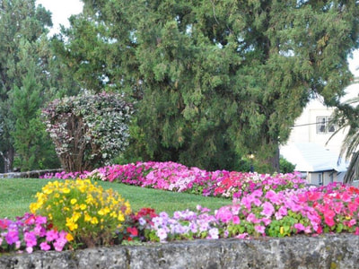 Hotel landscaping with brightly colored row of flowers